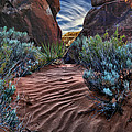 Sandy Trail Arches National Park